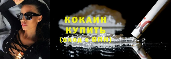 ECSTASY Белокуриха