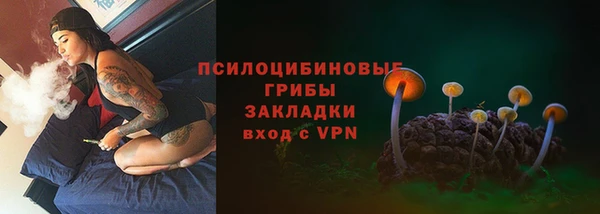 сатива Белоозёрский