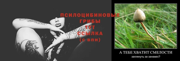 2c-b Беломорск