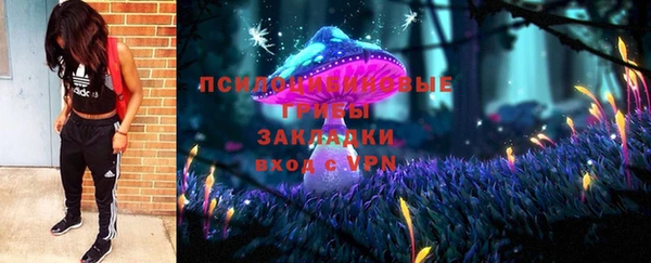 сатива Белоозёрский