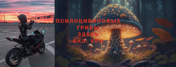 сатива Белоозёрский