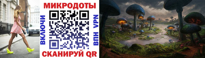 Псилоцибиновые грибы Psilocybe Балашов