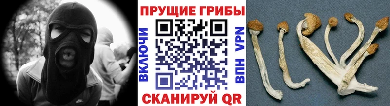 Псилоцибиновые грибы ЛСД  Балашов 